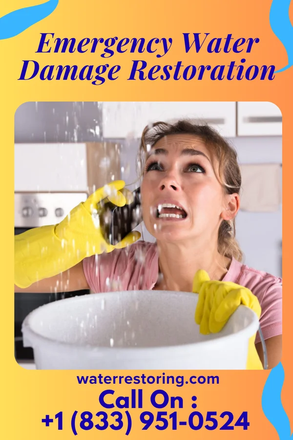Emergency Water Damage Restoration in Natural Bridge, AL